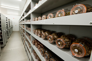 view into one of the seed vaults at the Millennium Seed Bank. Photo: W. Stuppy